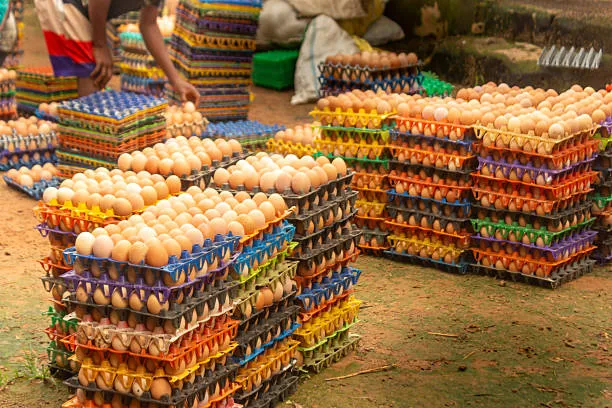 How to Sell Eggs in Kenya