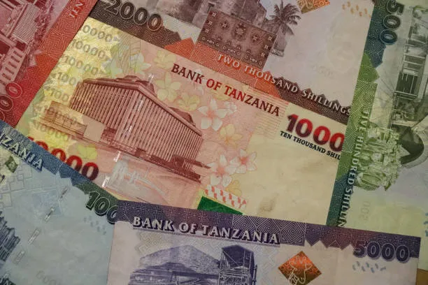 How to Send Money to Tanzania via M-Pesa