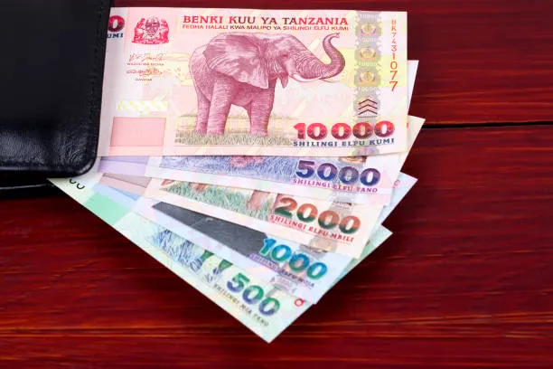 How to Send Money to Tanzania