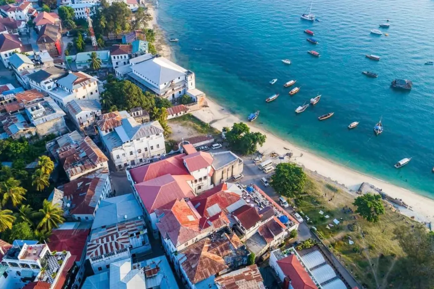 Two-day fly-in safari from Zanzibar with a game drive in Tanzania