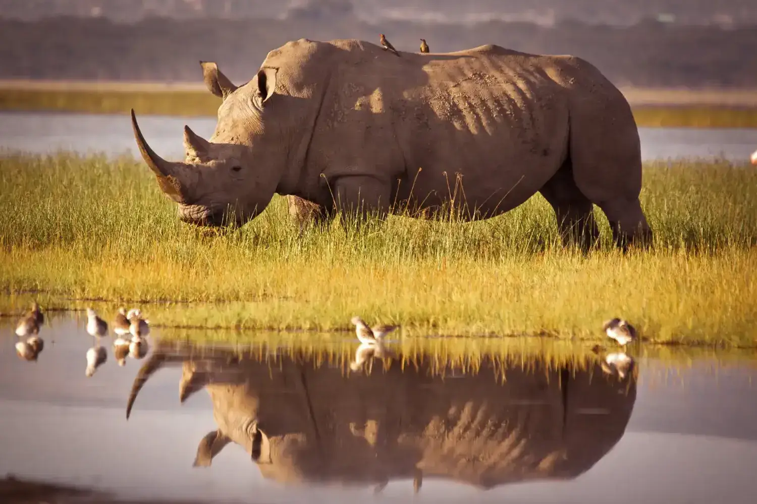 Günstigste Hotels in Moshi, Tansania