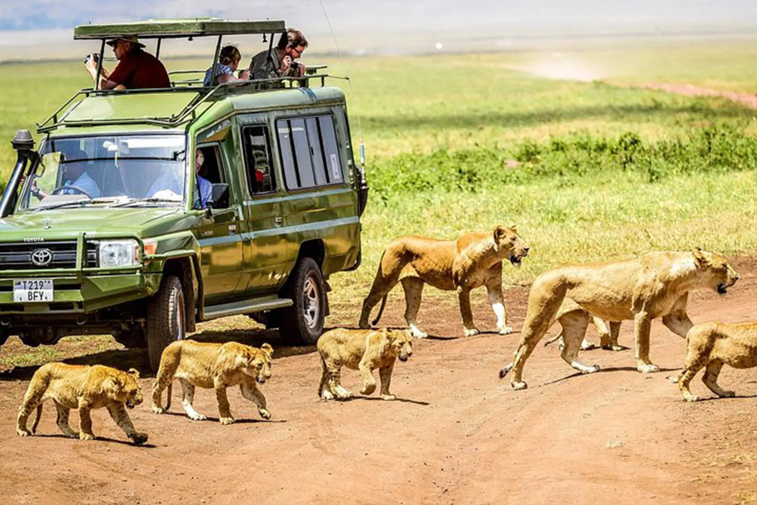 6-day joining safari in Tanzania