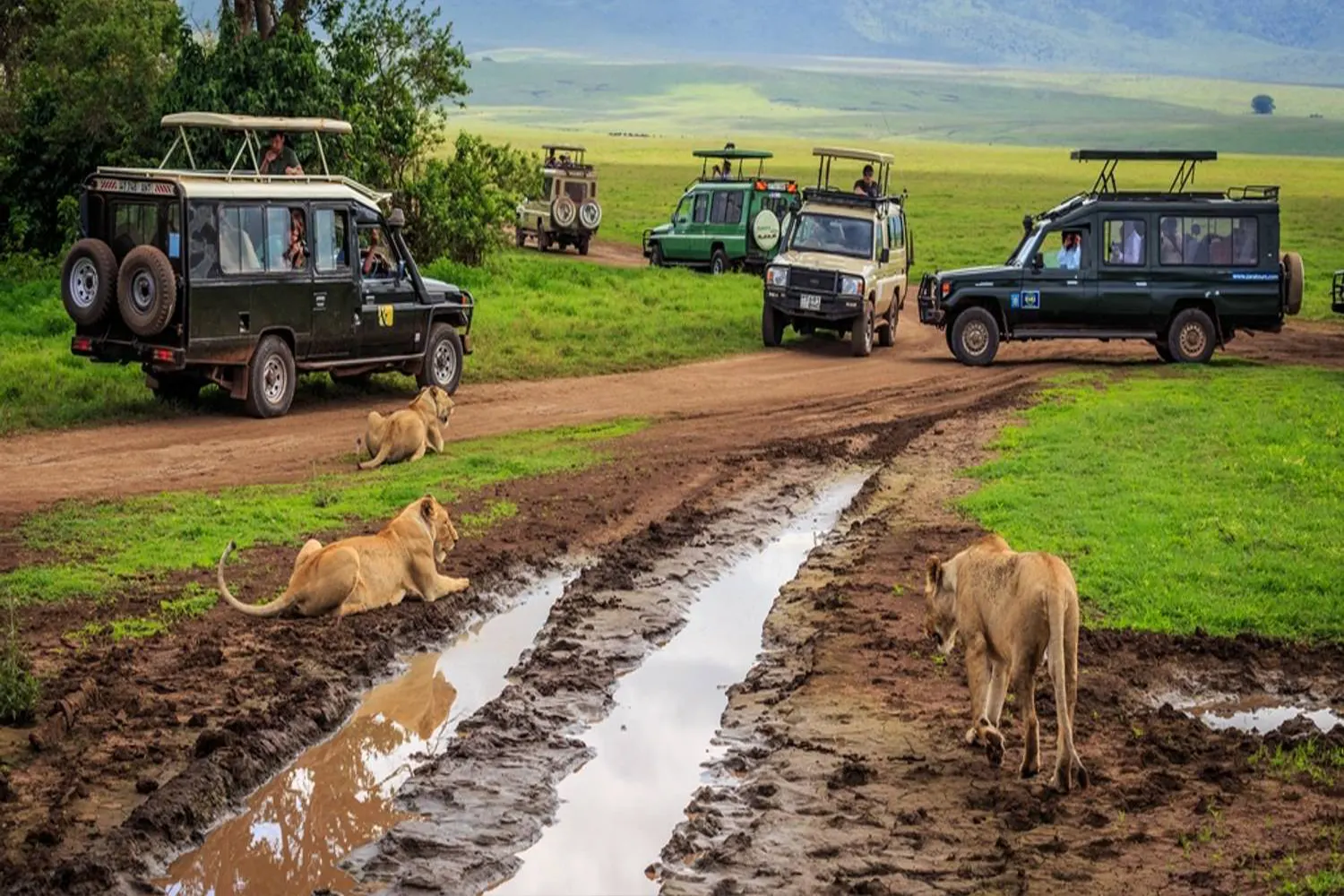 5-day joining safari in Tanzania