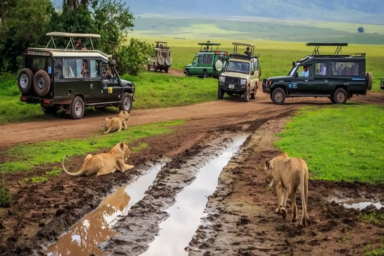 Excursions i safaris a Kenya