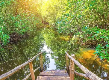 Jozani Forest Tour da Zanzibar