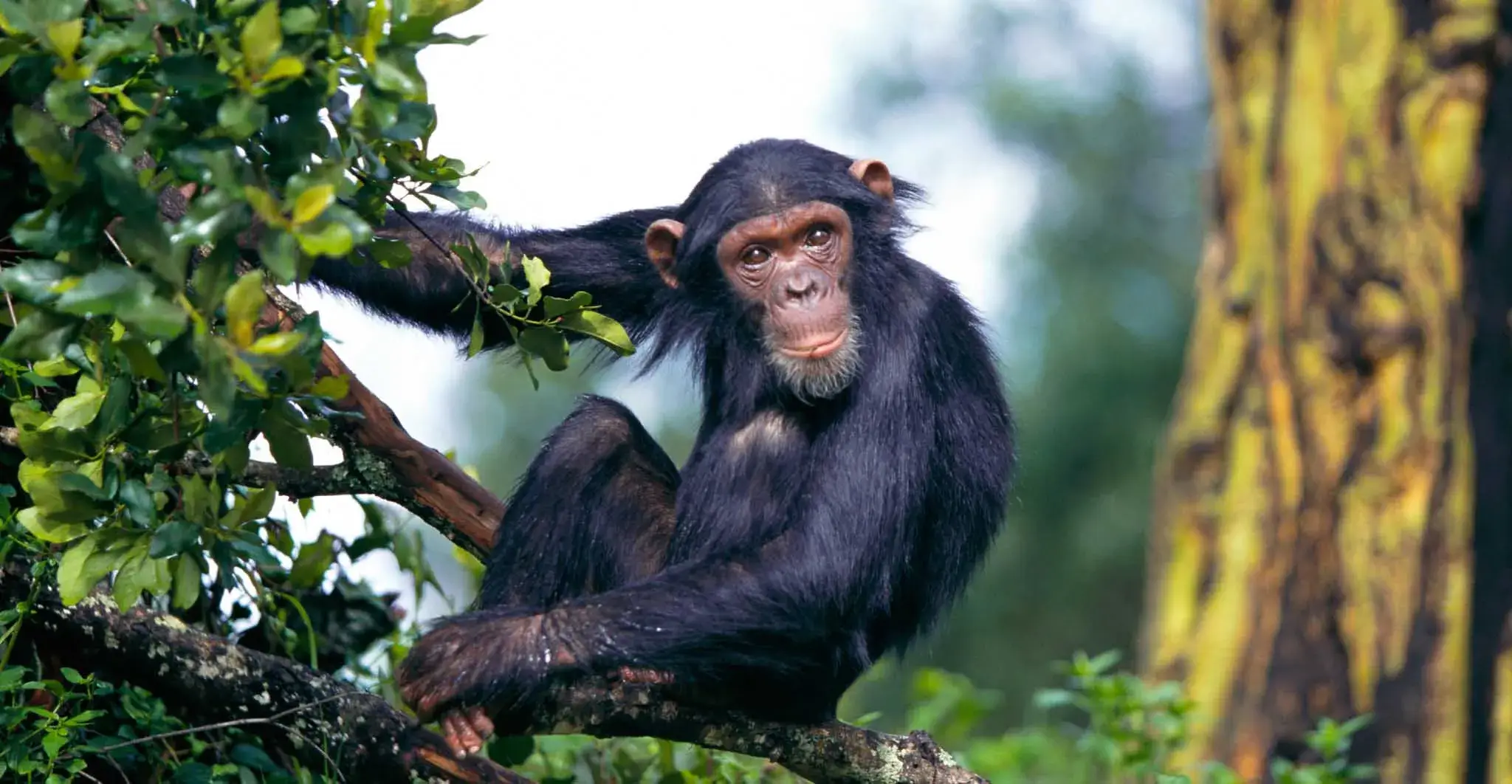 Katavi National Park in western Tanzania