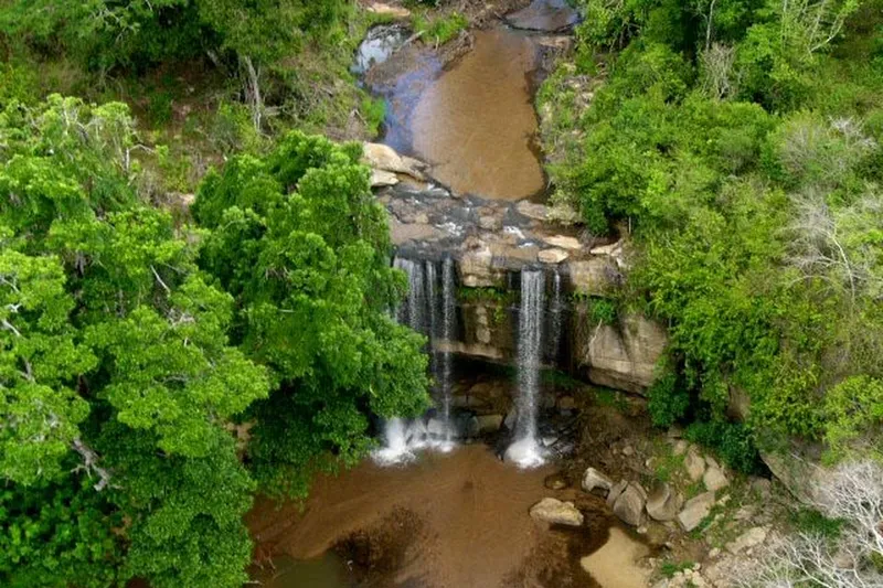 1-Day Shimba Hills Day Trip