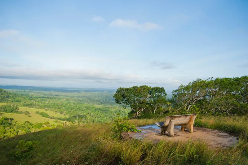 2-Day Shimba Hills & Diani Safari