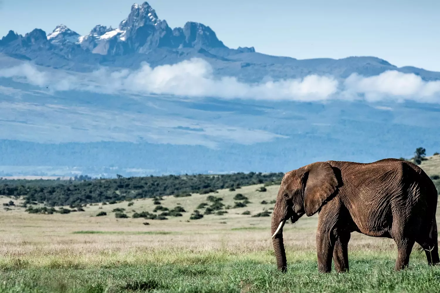 5-Day Mount Kenya Climbing Tour