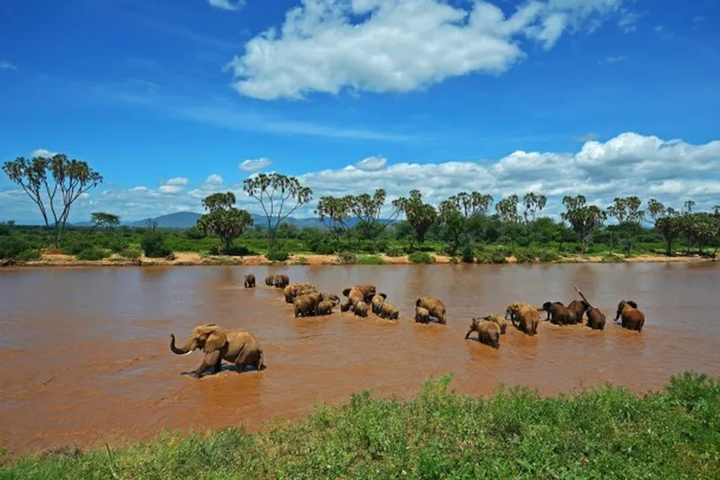7-Day Samburu, Shaba & Meru Safari Tour