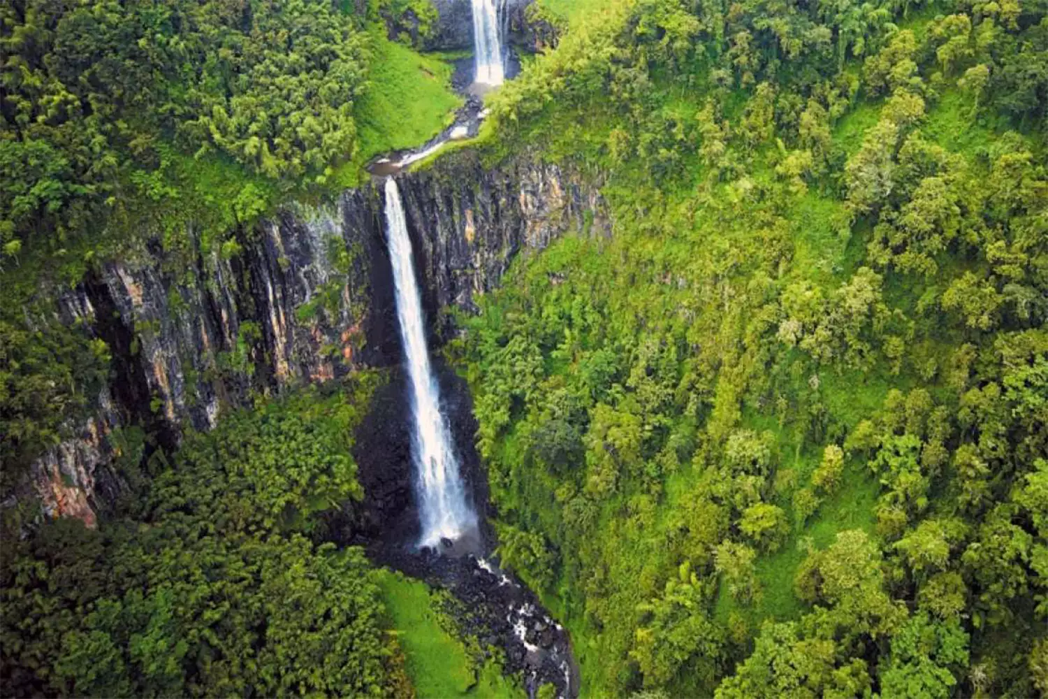 The Best Aberdare National Park Tour
