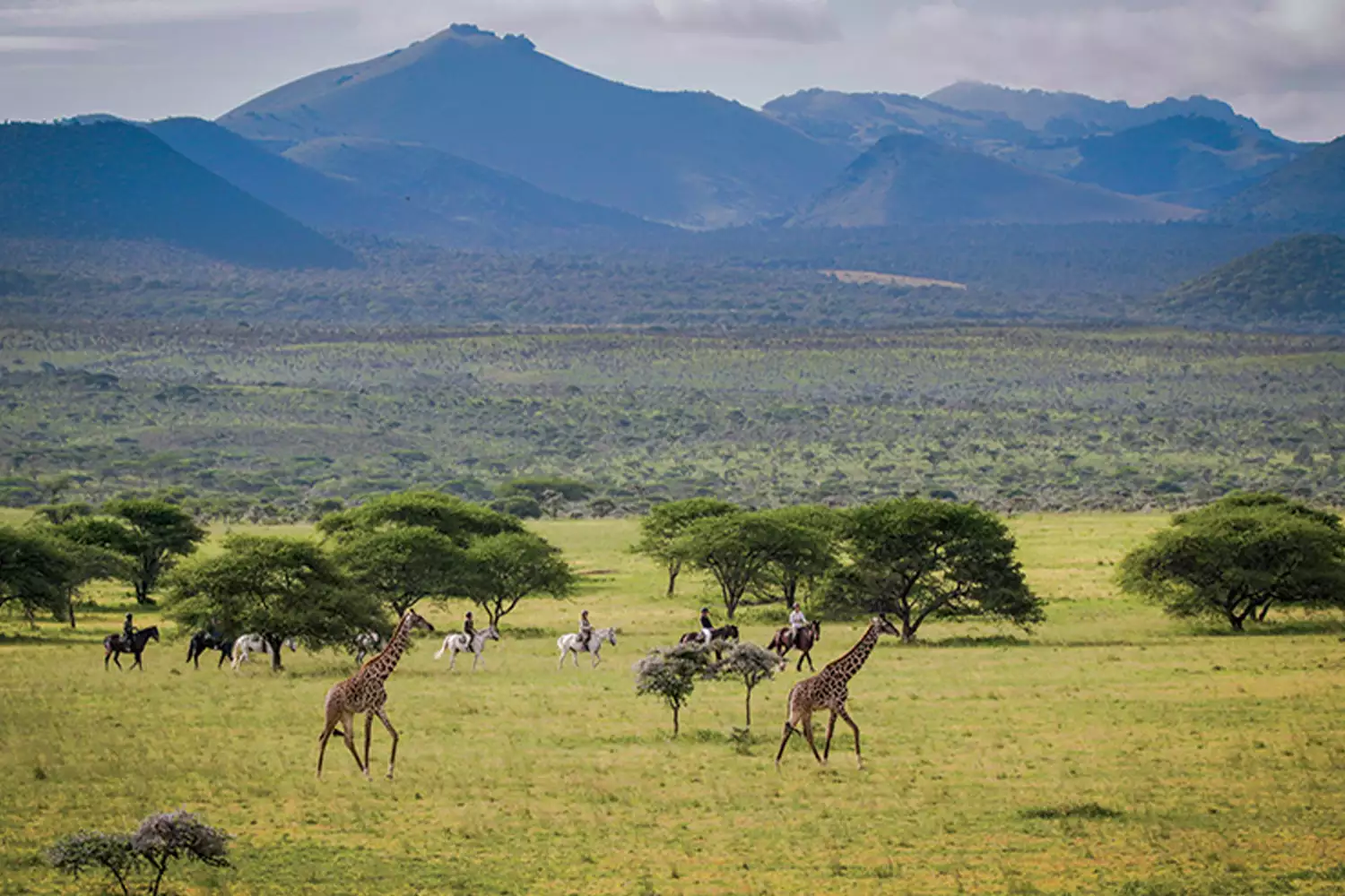 The Best Chyulu Hills Tour
