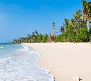 The best Diani Beach tour in Kenya