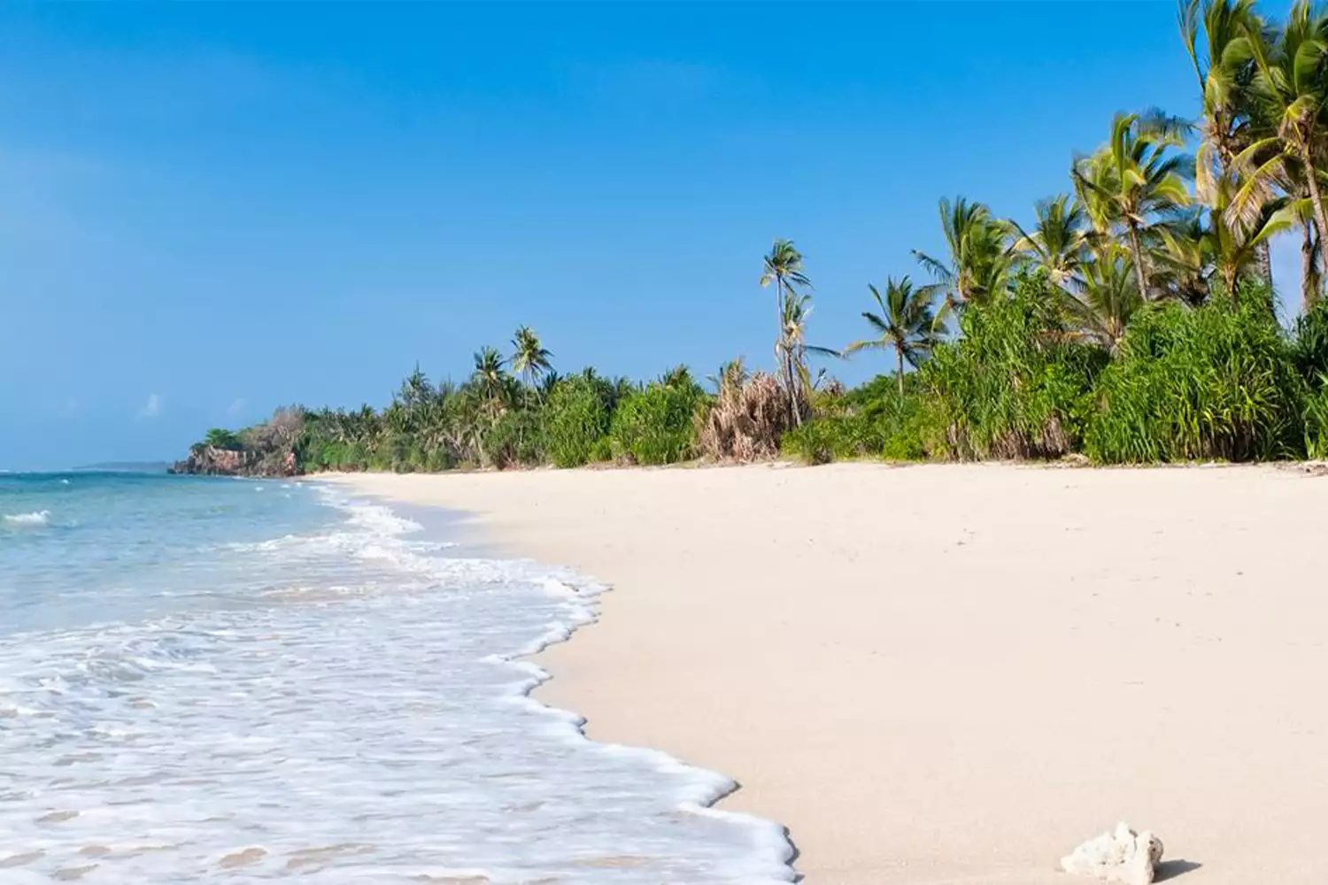 The best Diani Beach tour