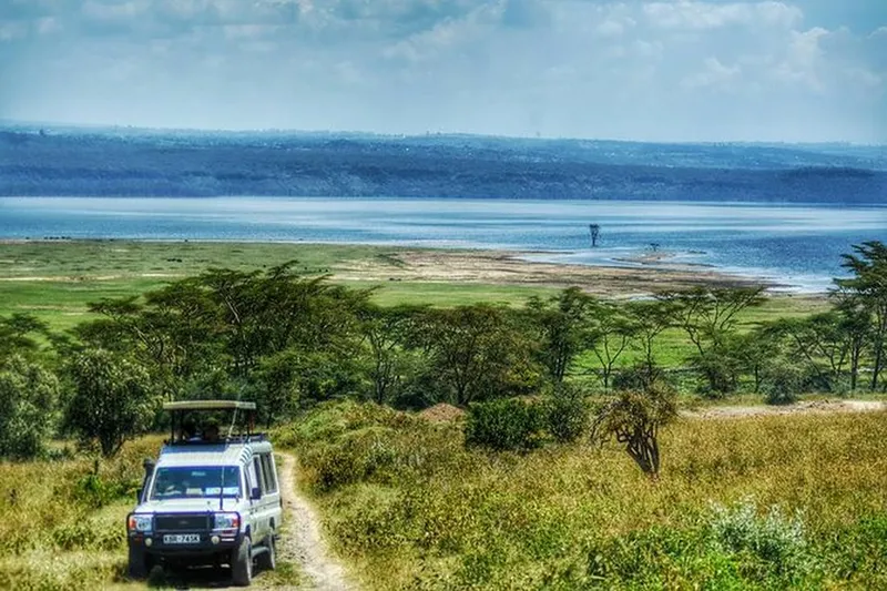 The Best Lake Nakuru National Park Tour