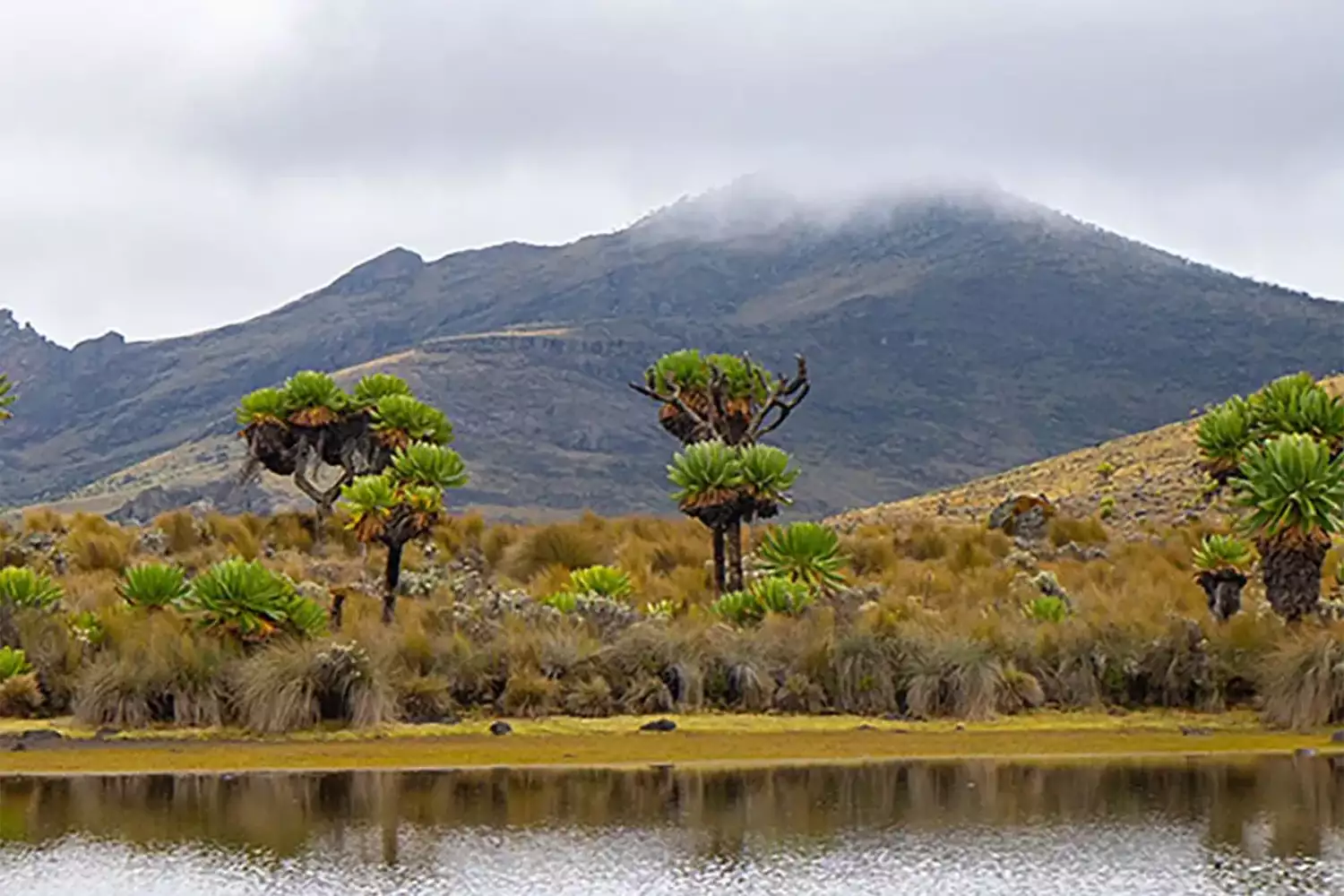 The best Mount Elgon National Park tour
