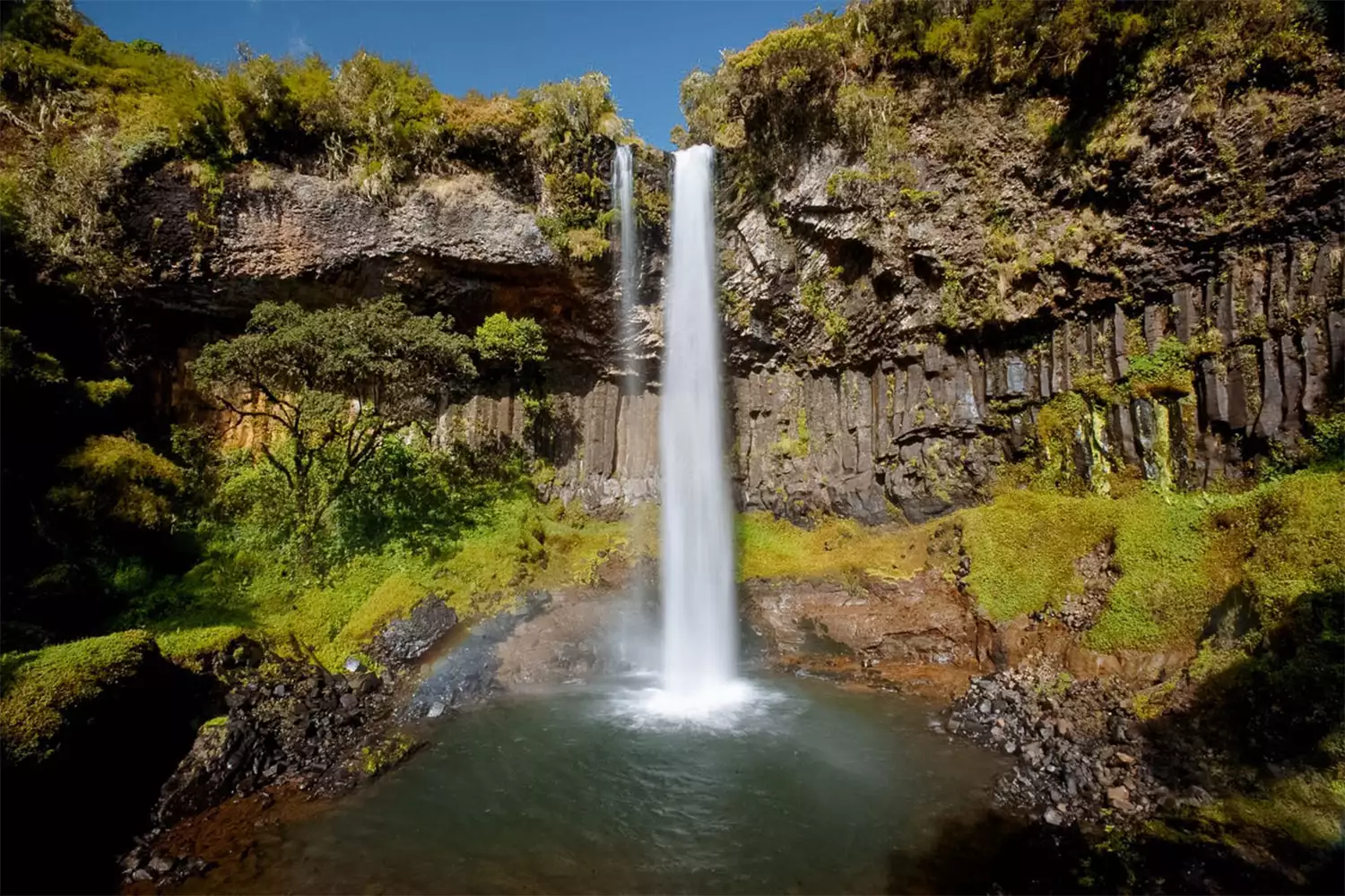 2-Day Aberdare Safari Tour