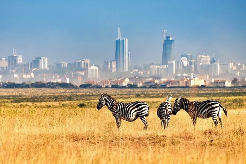 The Exclusive 7-Day Nairobi National Park Safari Tour