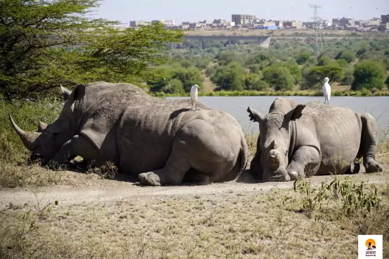 3-Day Nairobi National Park Safari Tour