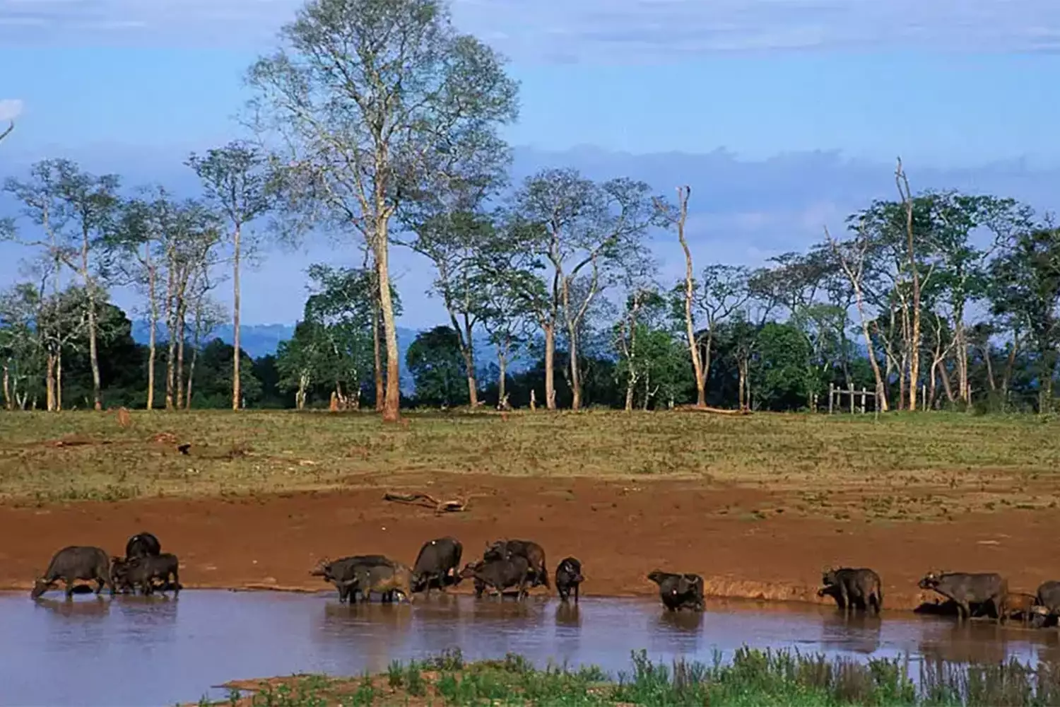 4-Day Aberdare Safari Tour