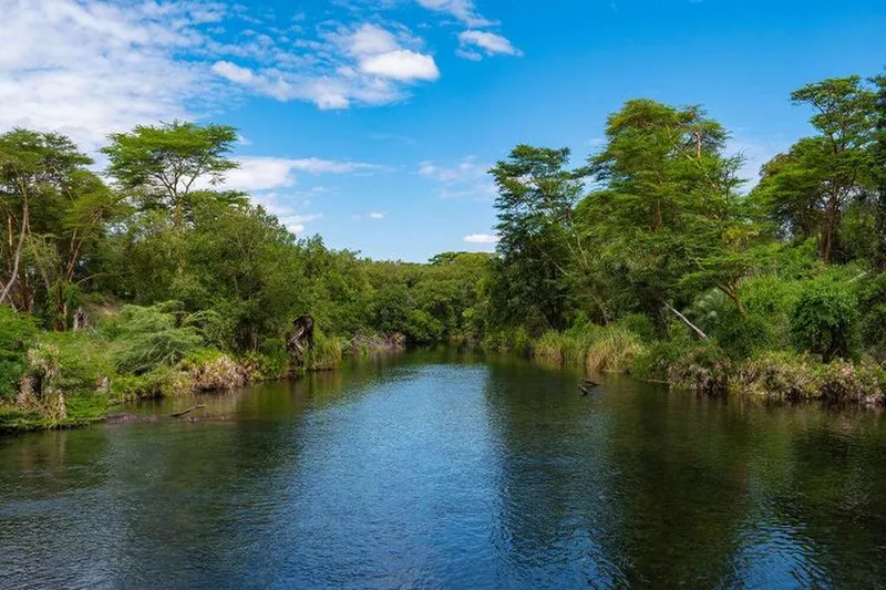 4-Day Tsavo Safari Tour