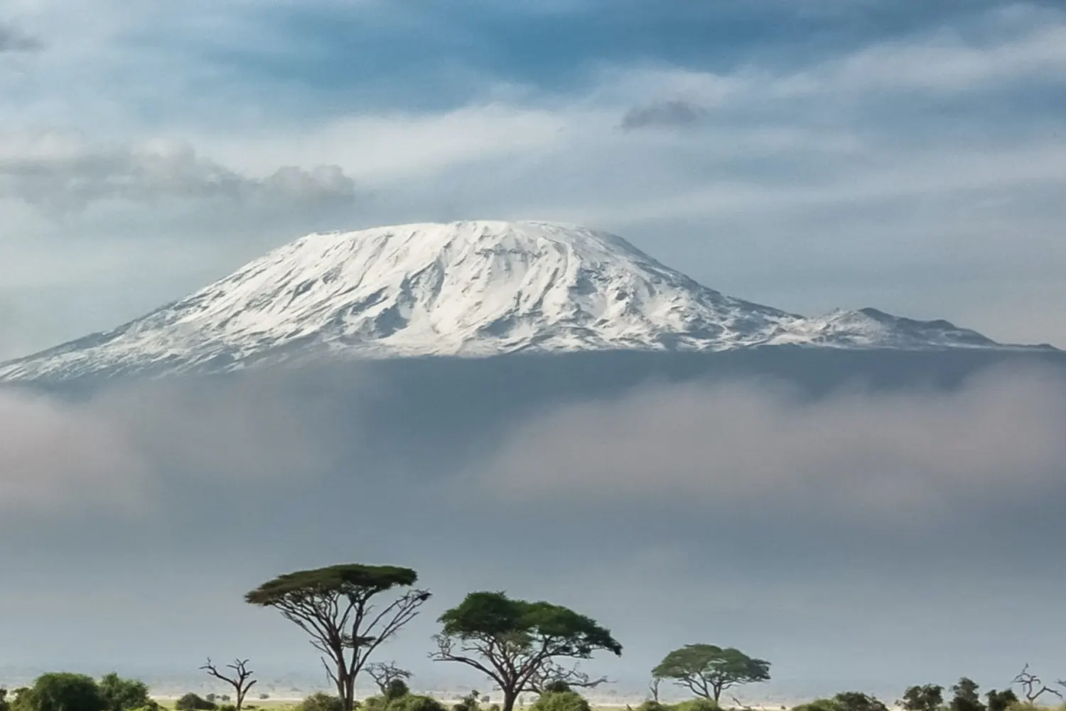 6 days Kilimanjaro climbing tour Rongai route