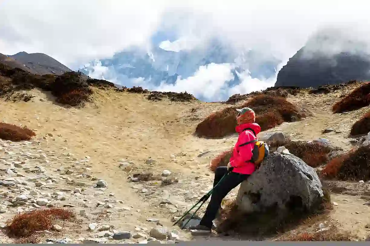 Zon Gurun Alpine (4,000-5,000 meter) - Zon Iklim Kilimanjaro dijelaskan
