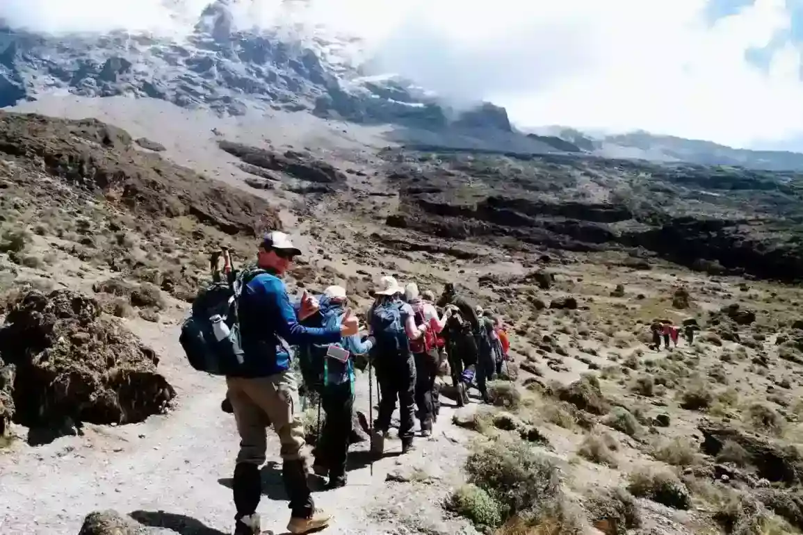 7 dies grup Kilimanjaro unint-se a lemosho