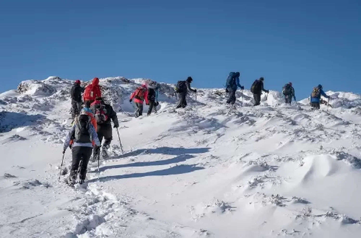 Climbers comparing the 6-day and 7-day Machame Route on Mount Kilimanjaro