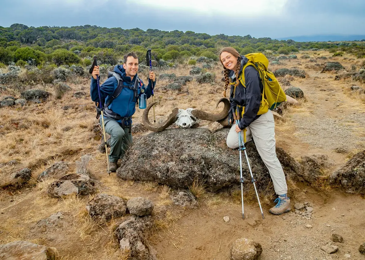 A laughing couple with trekking poles beside an old buffalo skull on a boulder in Kilimanjaro's moorland
