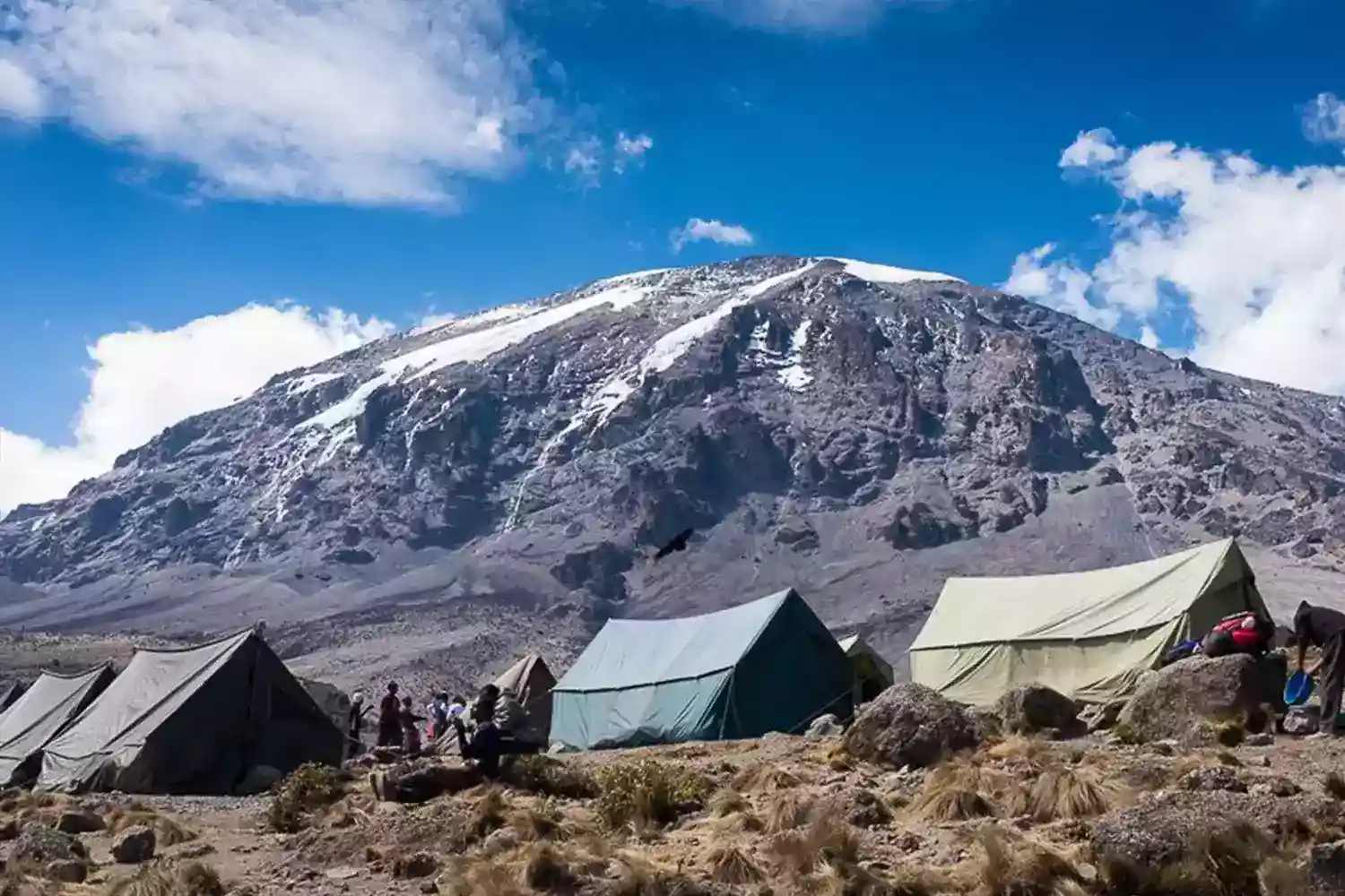 Ruta del Mont Kilimanjaro Lemosho