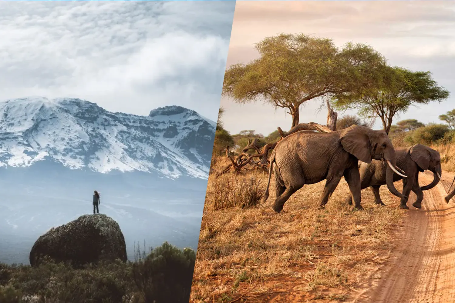 11 Days Kilimanjaro and Safari Tour Package