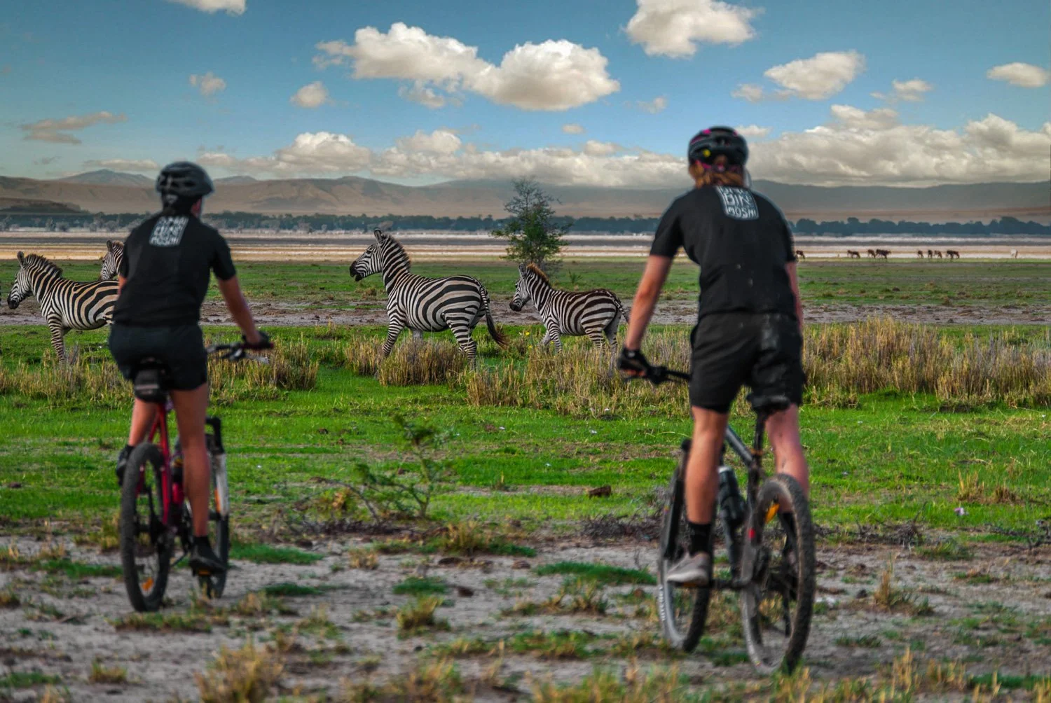 Cyclists riding from Kilimanjaro foothills toward Ngorongoro highlands