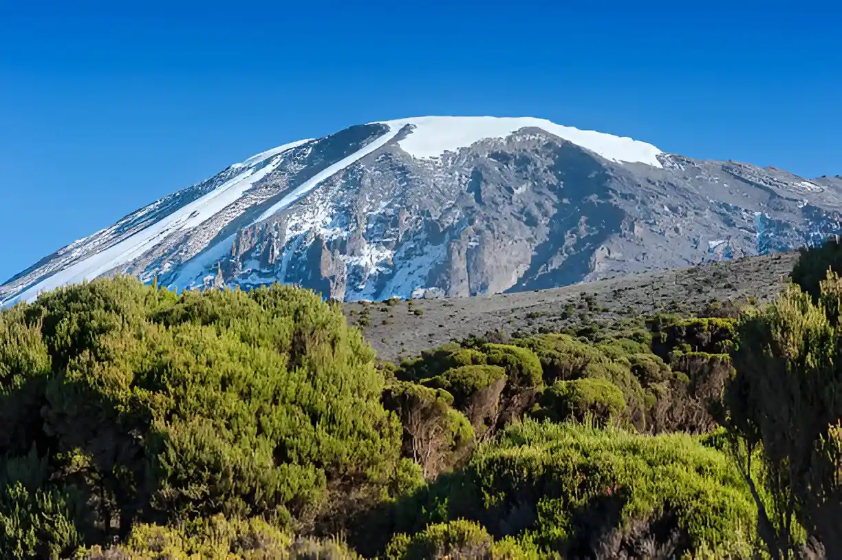 Zona della foresta pluviale (1.800-2.800 metri) - Zone climatiche di Kilimanjaro
