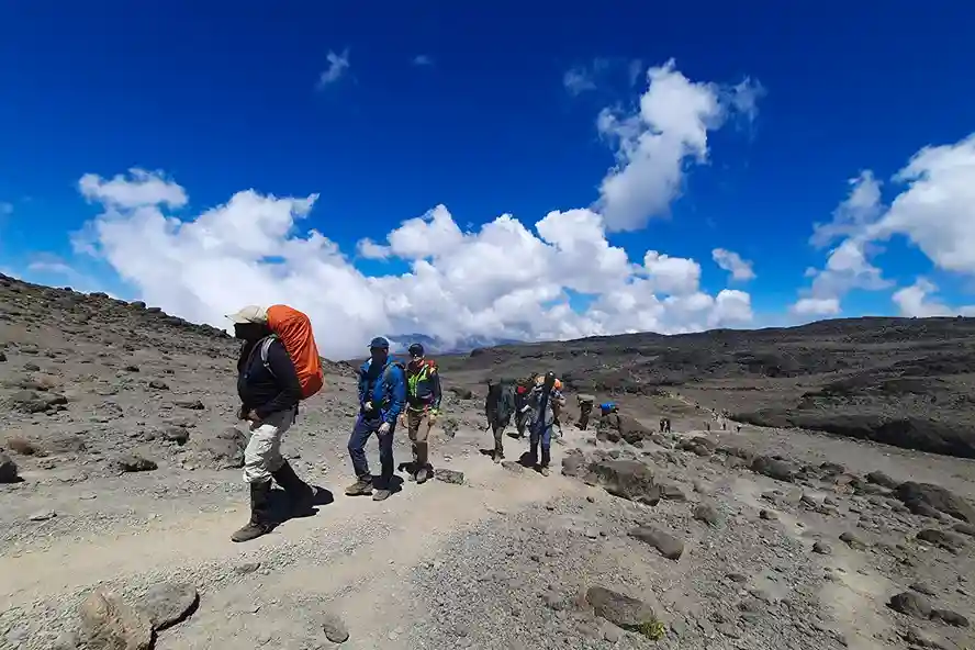 8-Day Kilimanjaro climb via Lemosho Route