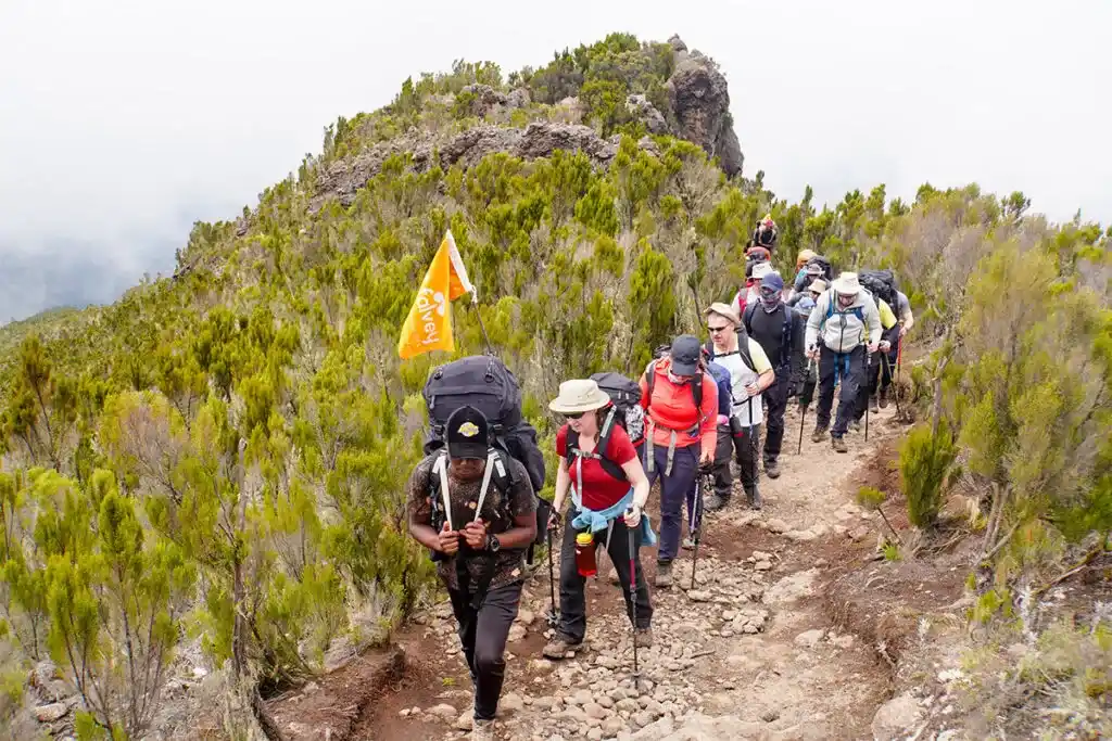 Group Joining Kilimanjaro Climbing Tours