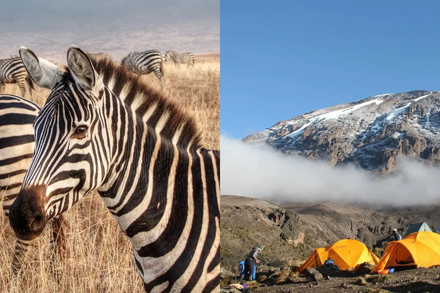 13 Days Kilimanjaro and Safari Tour Package
