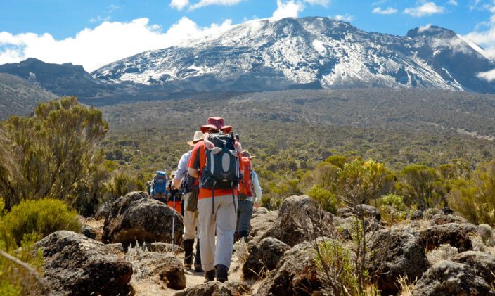 Kilimanjaro climbing Tour Packages in dry Season