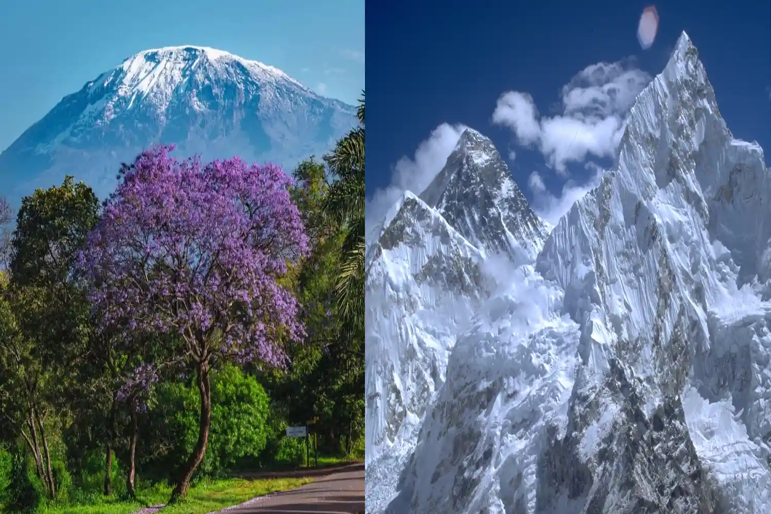 Kilimanjaro vs Everest
