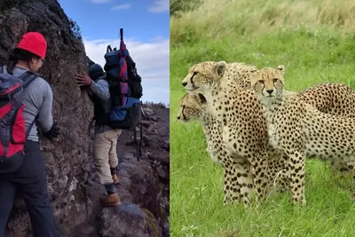 What to do after climbing Kilimanjaro