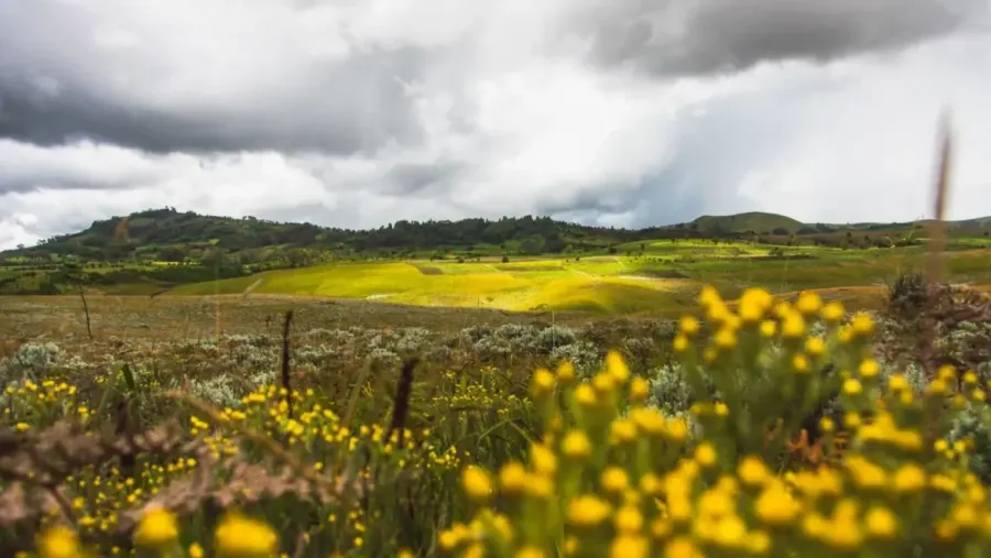 Best Kitulo National Park Tour Packages 2026/2027