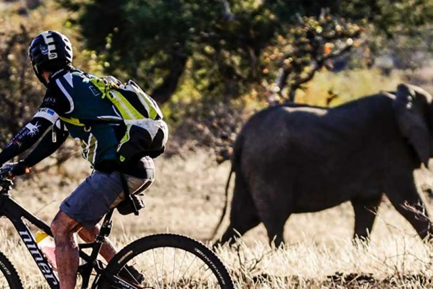 Excursió ciclista al llac Manyara