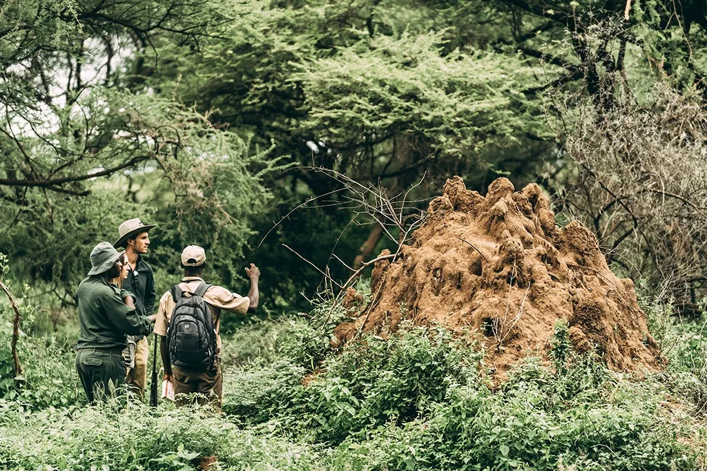2-Day Tanzania private safari Lake Manyara Ngorongoro