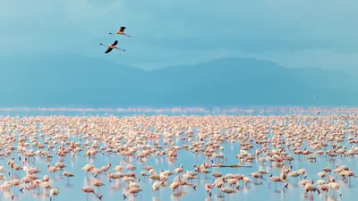 Lago della gita diurna del parco nazionale di Mogrutara