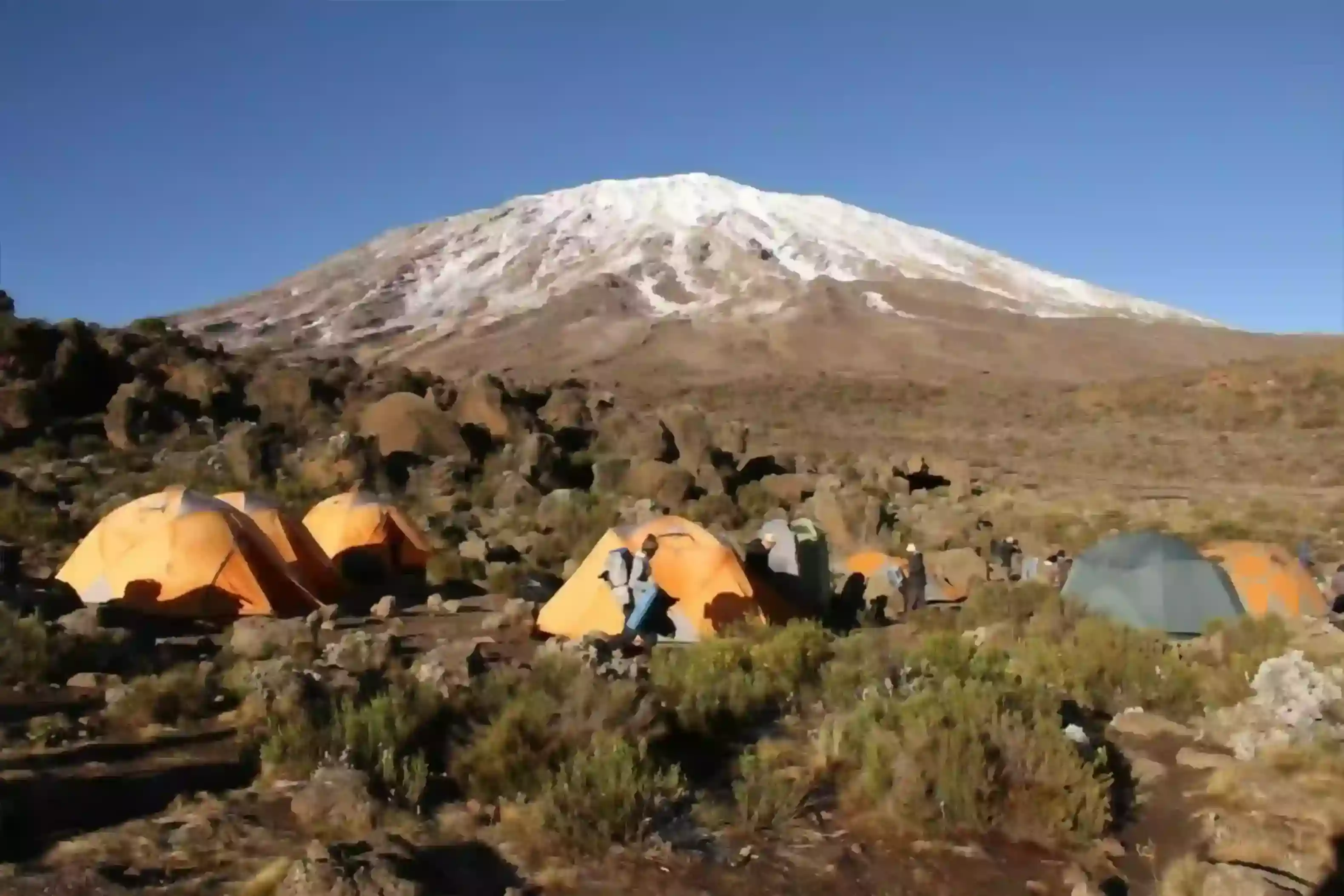 Càmping al mont Kilimanjaro Ruta Lemosho