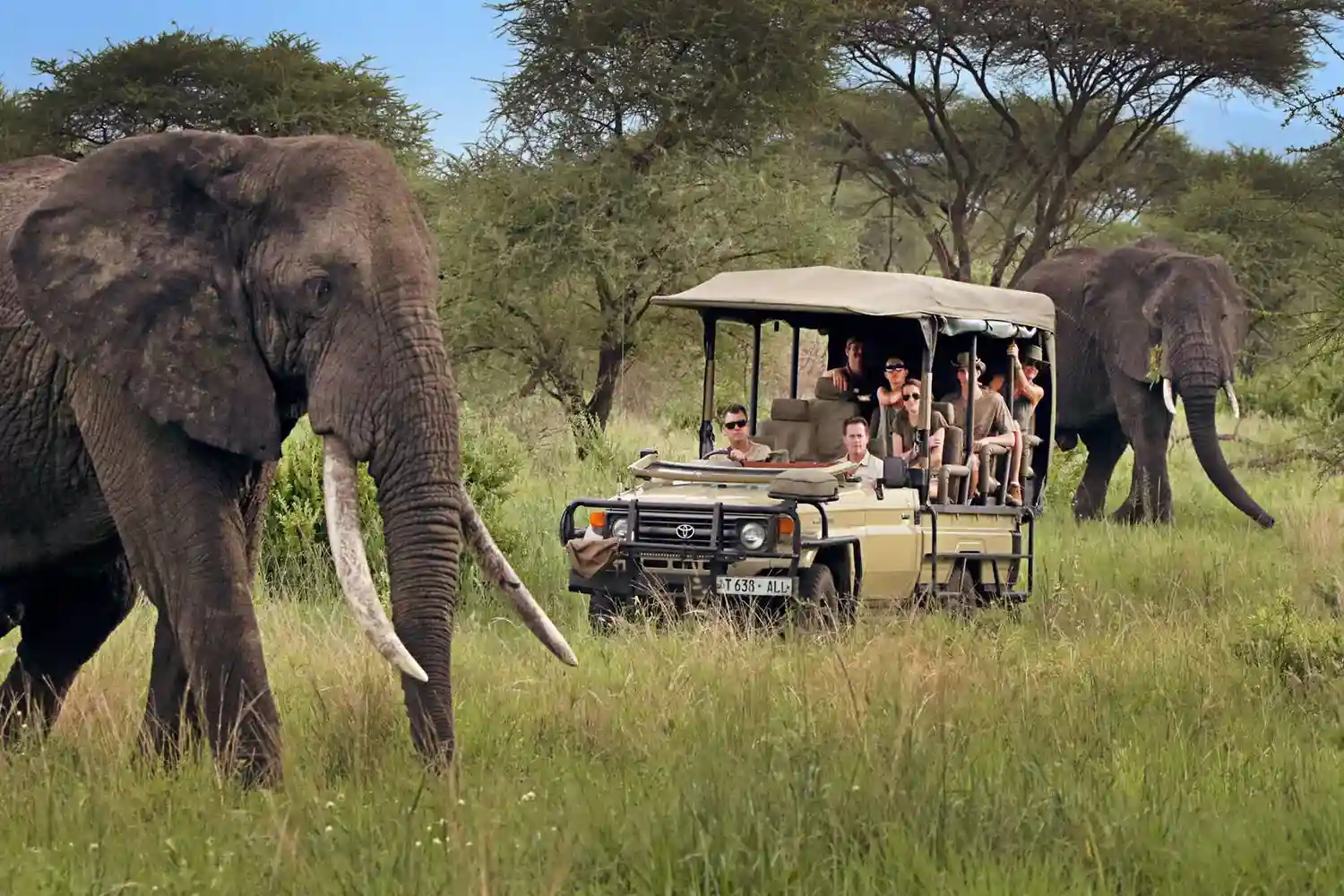 Safari de luxe de 4 dies al Serengeti