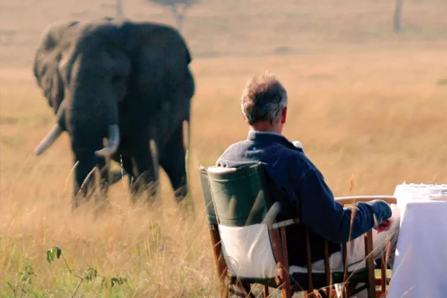 Safari de luxe al Serengeti 5 dies