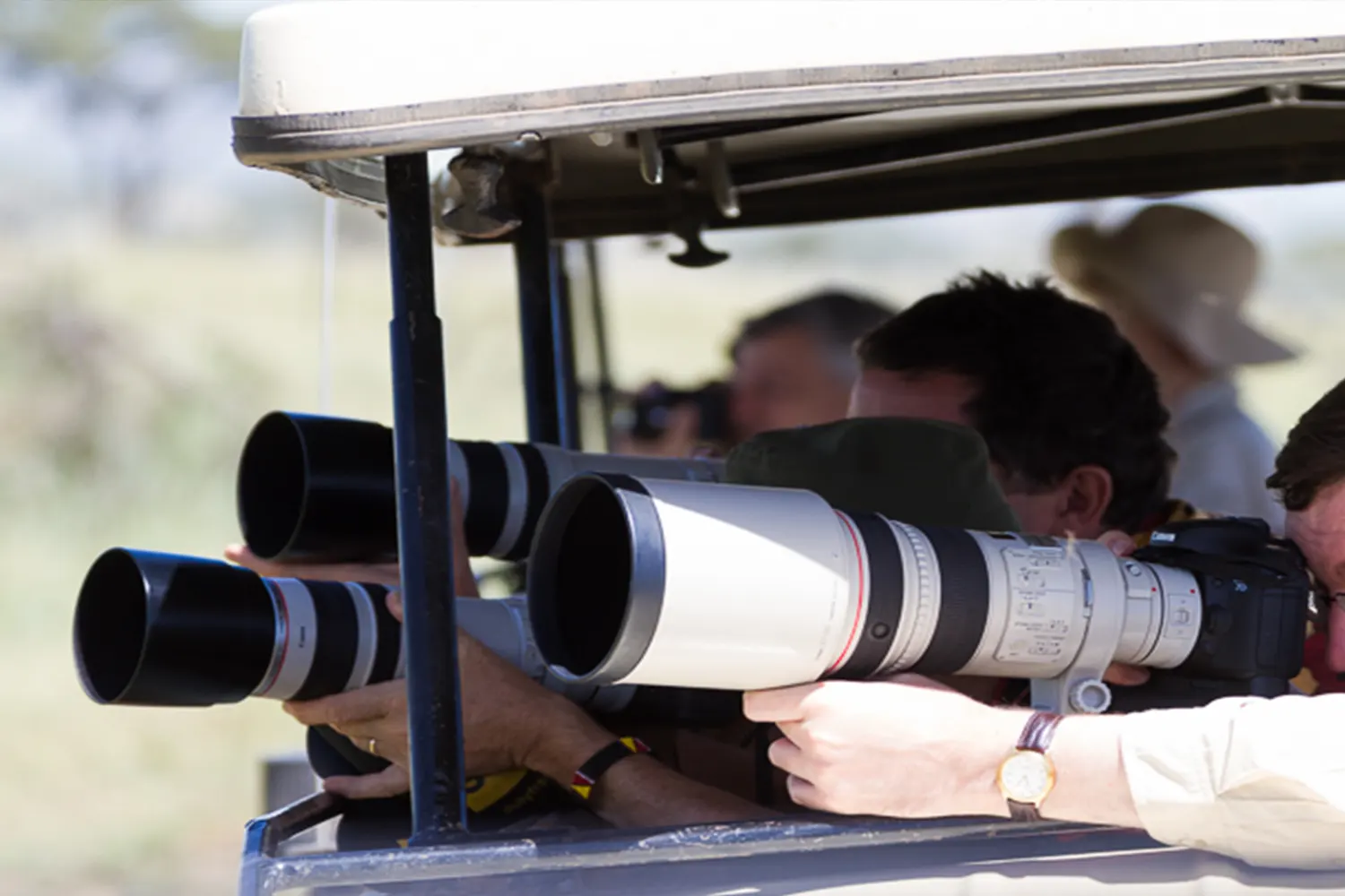 5-Days Ngorongoro Crater Shoot