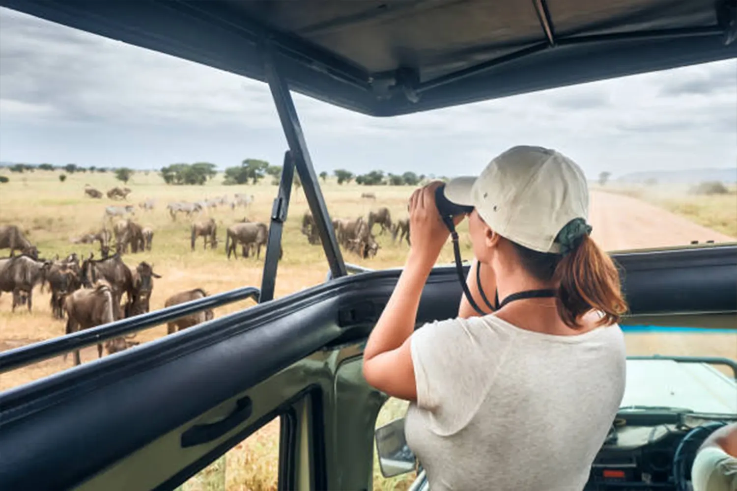Paquet turístic de luxe de 7 dies de safari de vida salvatge
