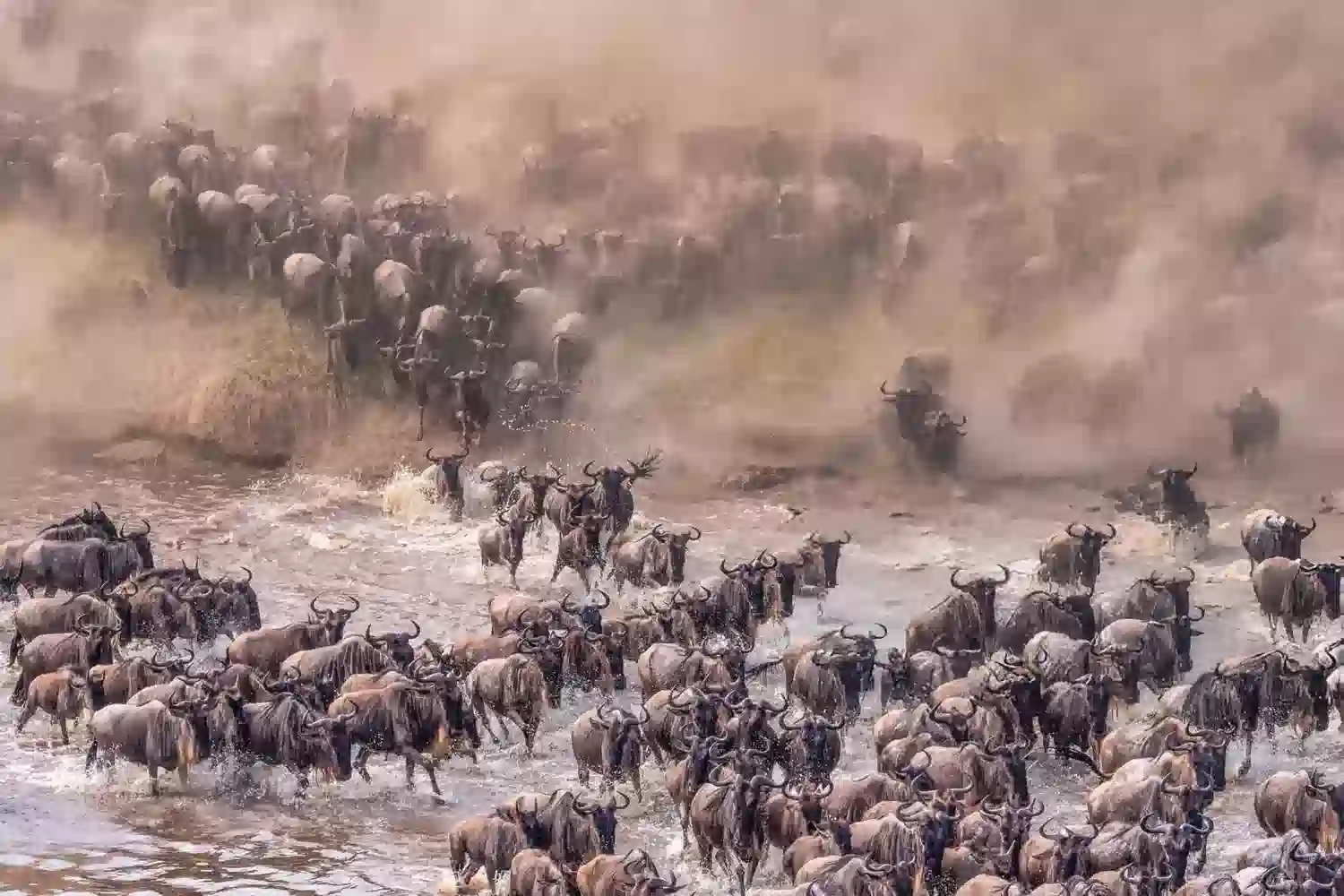 Maasai Mara Migration